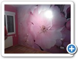 SERDECOR
